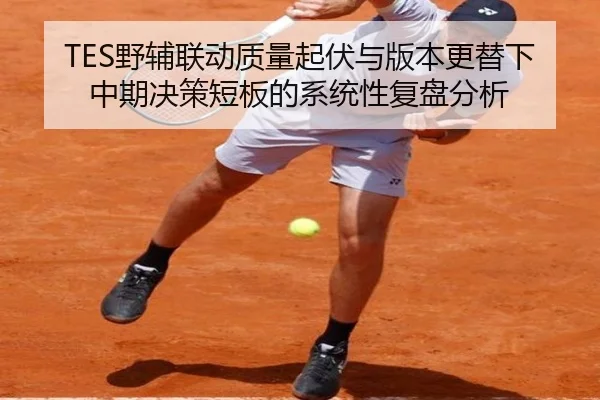 TES野辅联动质量起伏与版本更替下中期决策短板的系统性复盘分析