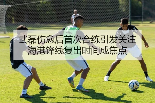 武磊伤愈后首次合练引发关注 海港锋线复出时间成焦点